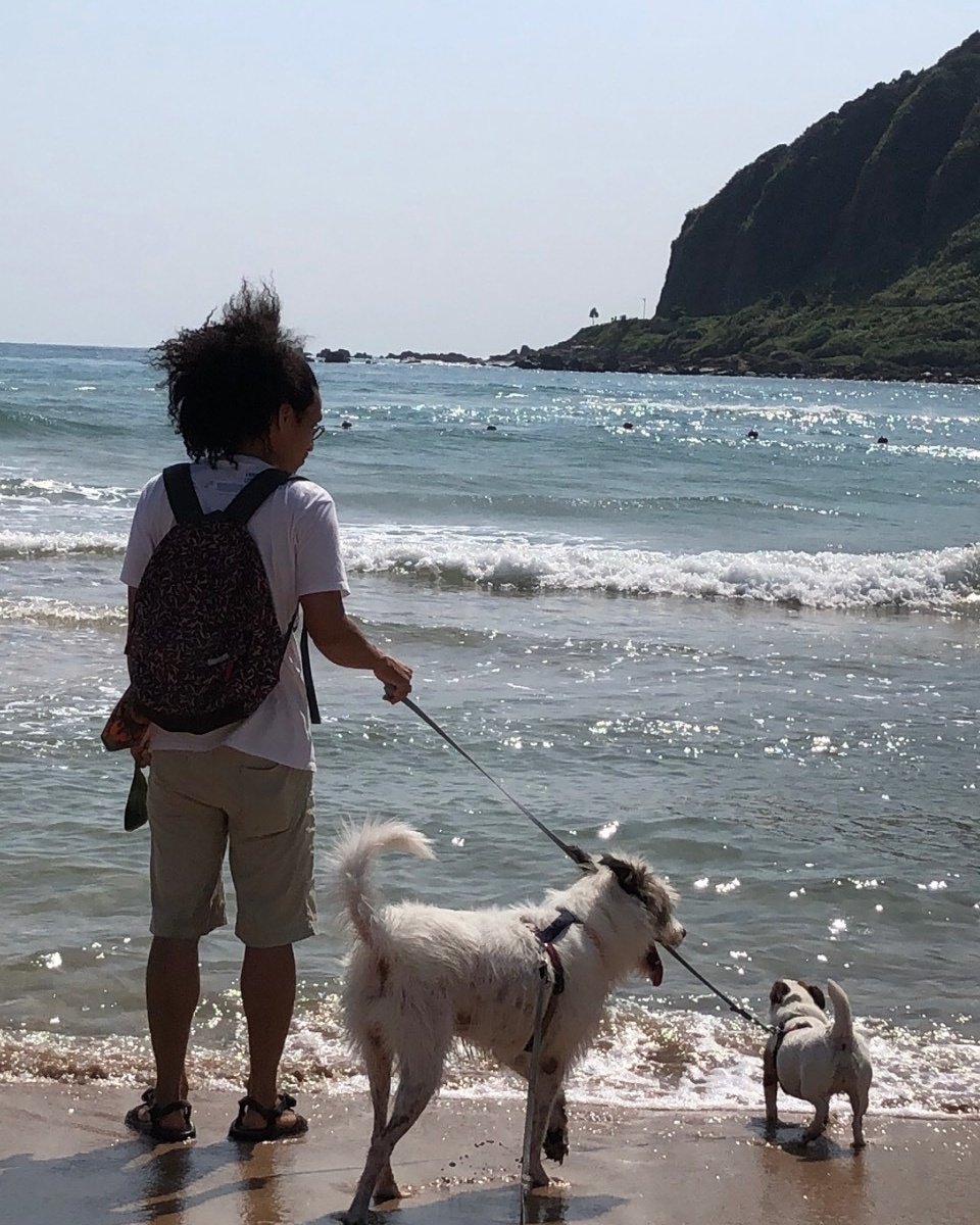 好獸醫師推薦 - 享家曾家豪獸醫師