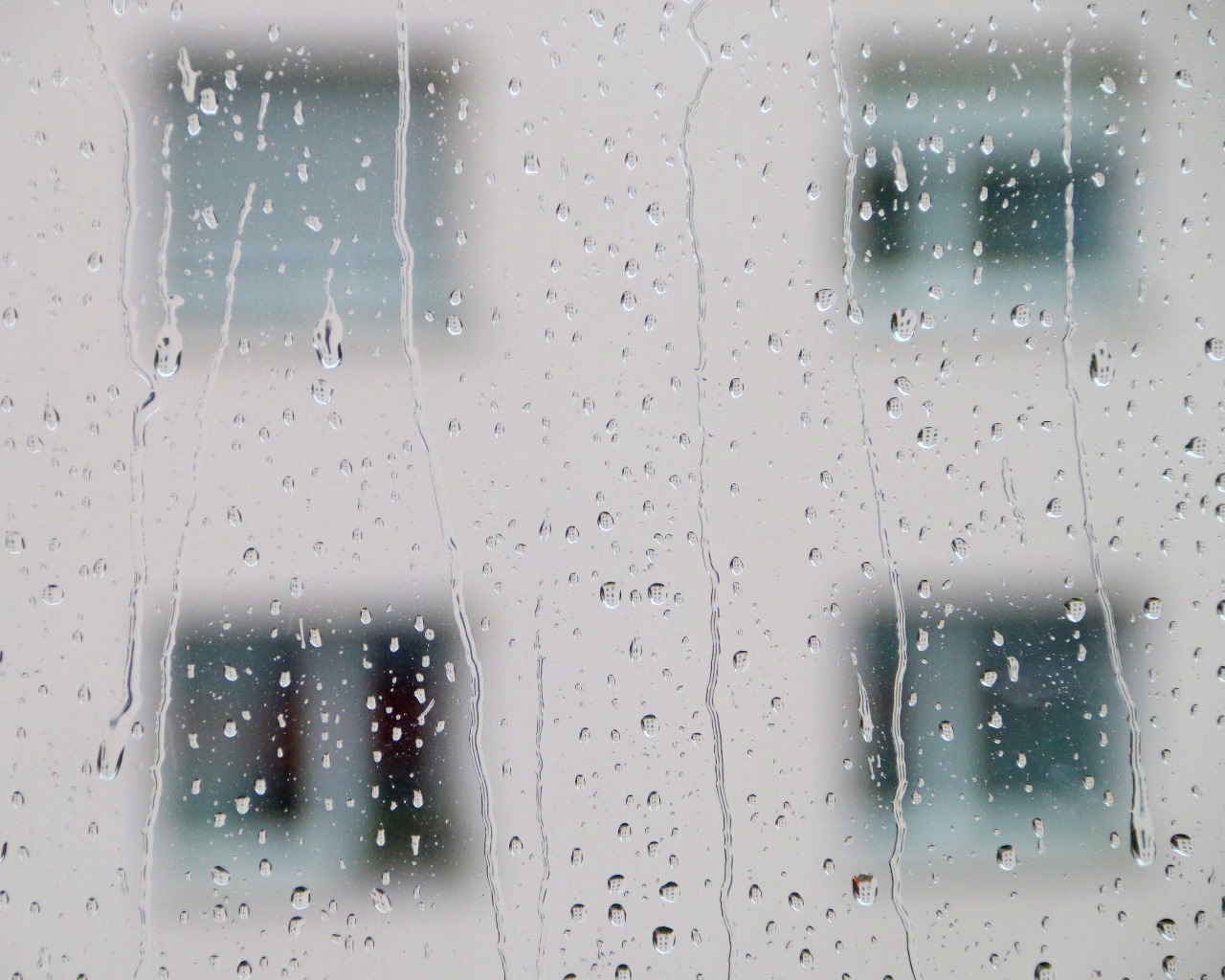 新冠疫情期間的戶外善終心得